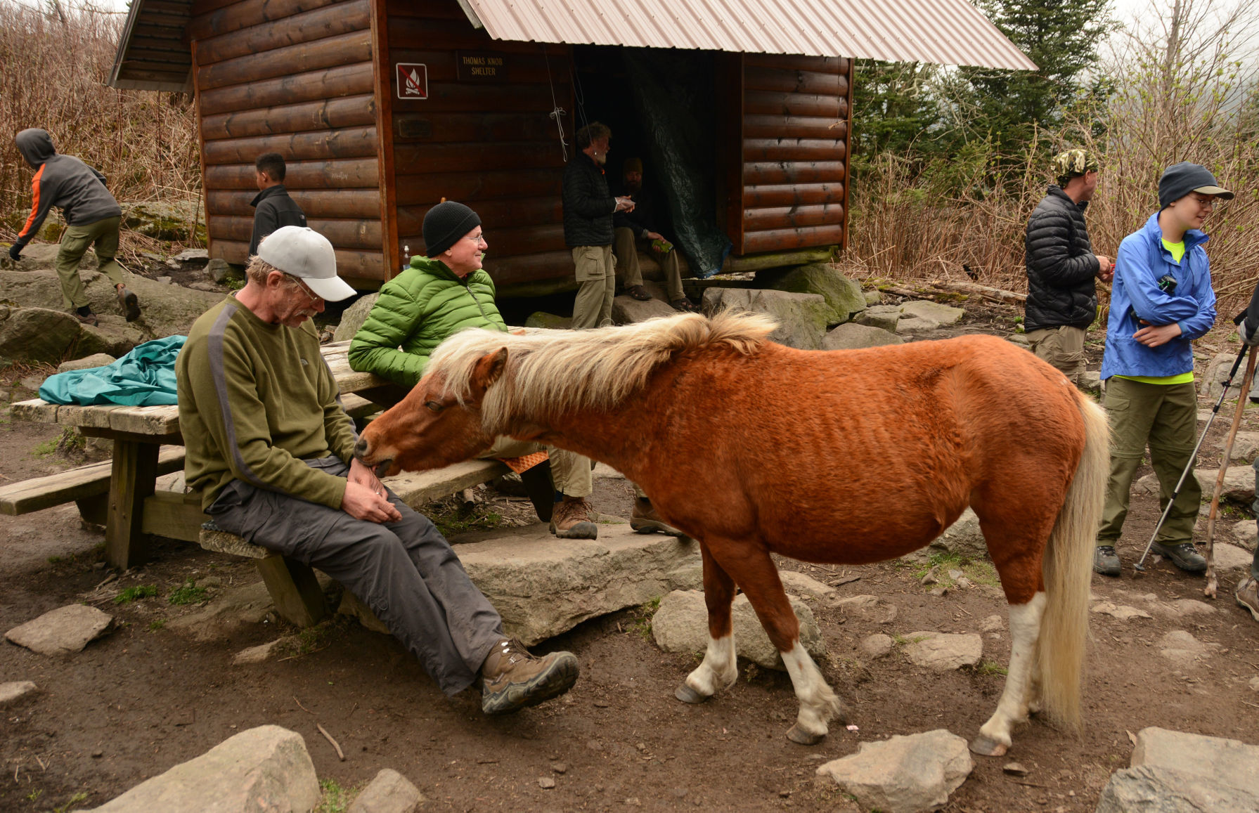 Mount Rogers National Recreation Area